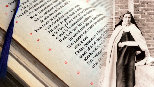 Santa Teresa di Lisieux con libro in mano