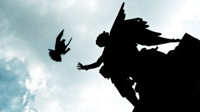 Piccione consegna lettera all'Angelo